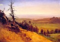 Newbraska Montañas Wasatch Albert Bierstadt